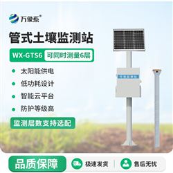 WX-GTS10管式土壤温湿度监测仪