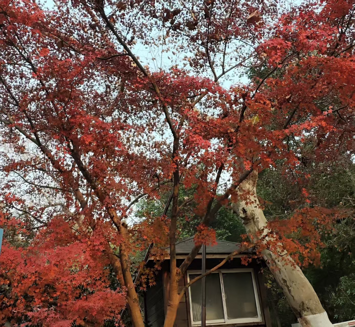 关于公开征求《数字微波通信系统进网技术要求》等6项通信行业推荐性国家标准报批意见的公示