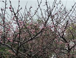 全球首款仓储通用人形机器人发布