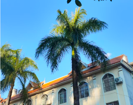 持续发展新质生产力，打造集成电路、航空航天、低空经济等新兴支柱产业