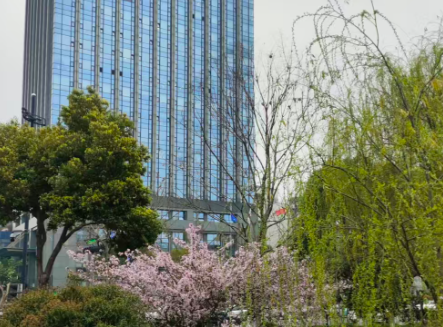 深圳交通信号灯“双脑”模式上线