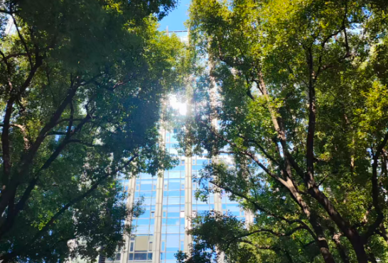 矿工安全怎么保？监控缺失即重大隐患