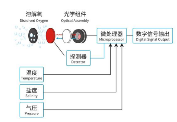 水质溶解氧传感器
